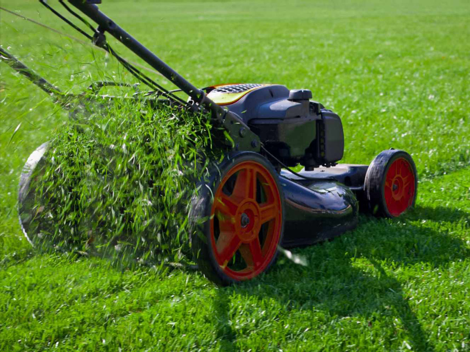 yardworks